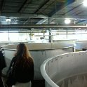 2010-09-13 11.13.45